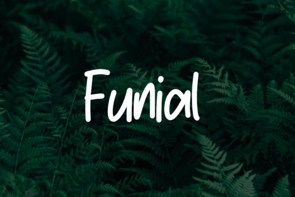 Funial Typeface: A Web Designer’s Review