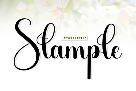 Stample: A Handwritten Font for Bold Branding