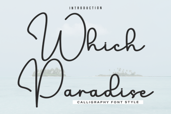 Which Paradise Font Review for Web Design
